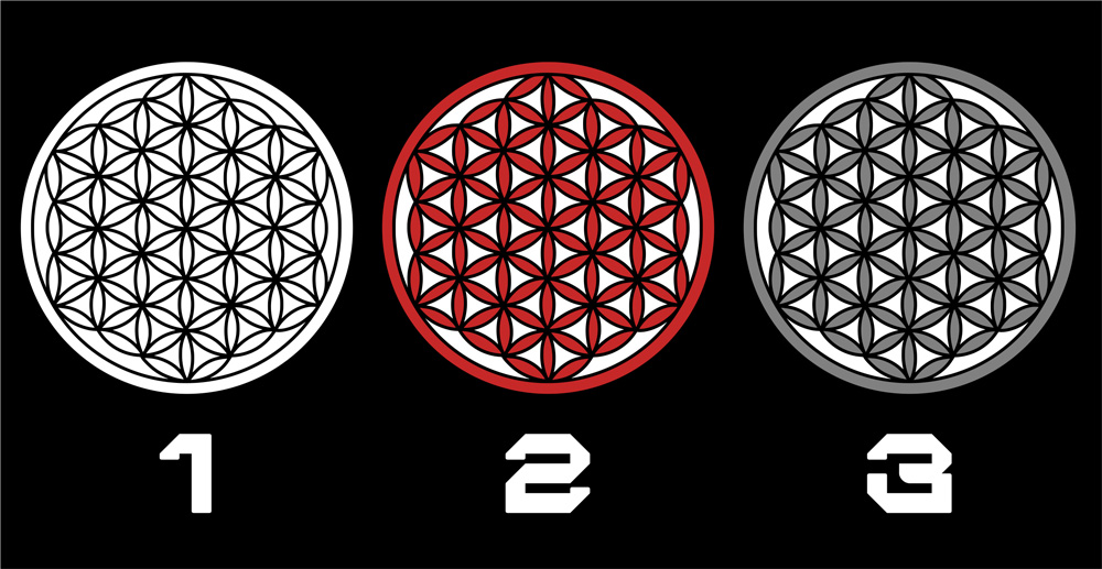 Tričko tekno pánské Flower of life