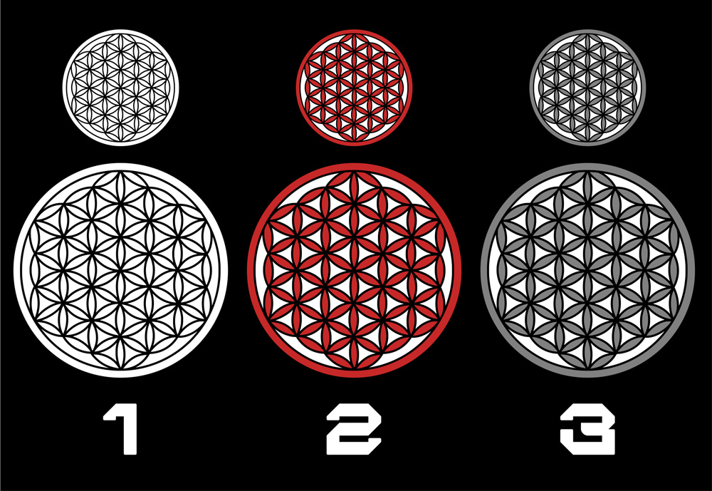 Tričko tekno pánské Flower of life