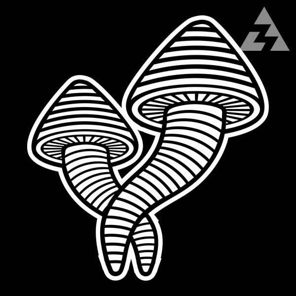 Tílko dámské tekno HOUBY