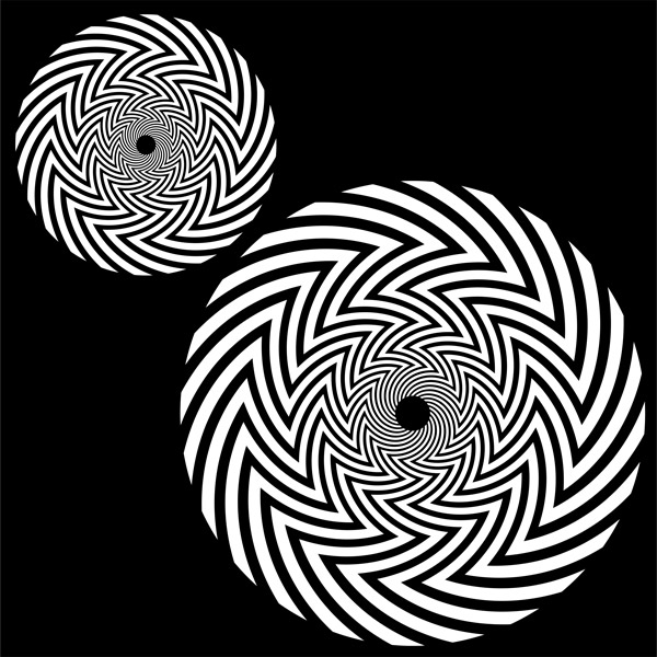 Mikina dámská tekno spirála