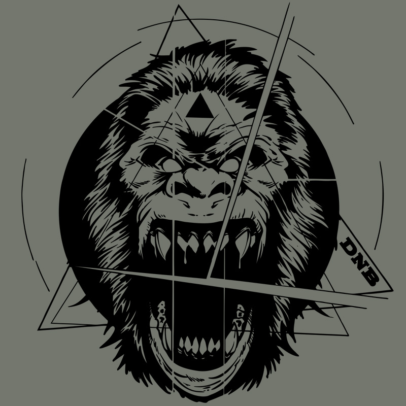 Mikina dnb dámská monkey